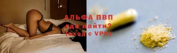 каннабис Богданович