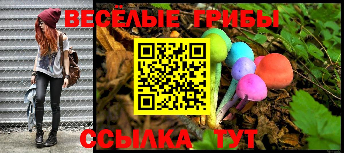 Псилоцибиновые грибы Cubensis Сыктывкар